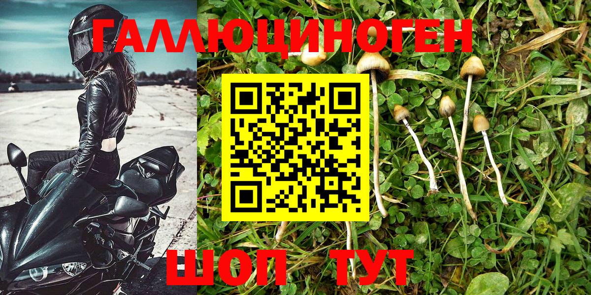 Кандалакша  Псилоцибиновые грибы Magic Shrooms  Вход с VPN 